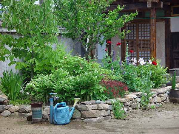 마음놓고 울 수 있는 공간, 마당