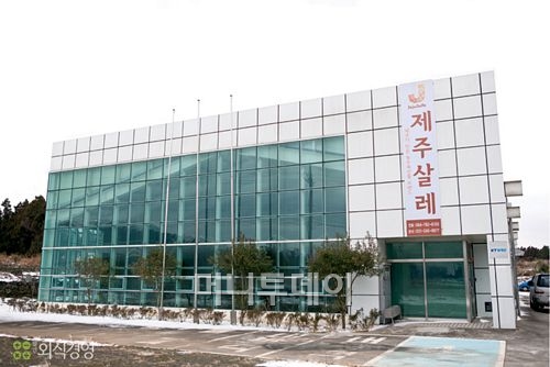 청정지역 제주도에서 나는 믿고 먹을 수 있는 농·수·축산물