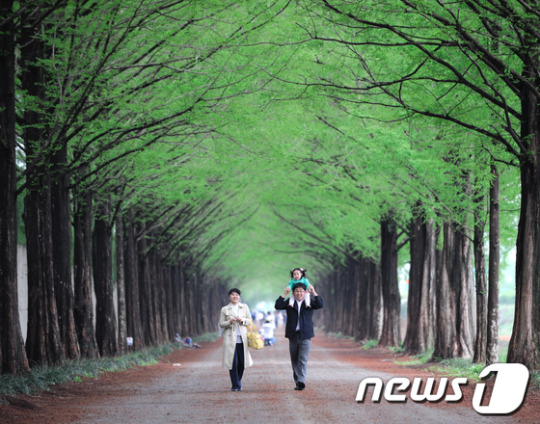 전남 관광사진 공모전 대상 ‘길 위의 행복’