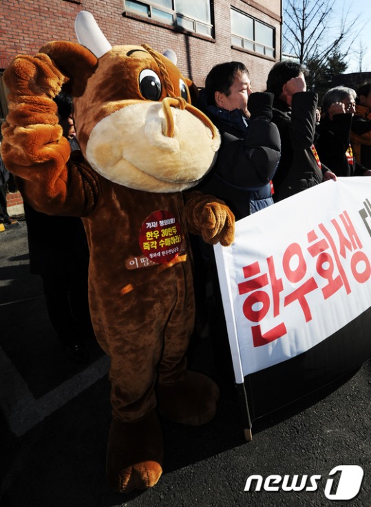 뿔난 축산농가 정부 소 사서 북한에라도 보내라