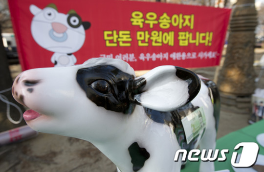 [사진]육우값 대책 시급