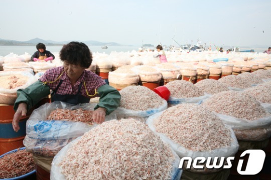 신안새우젓(주) 식약청 HACCP 사업장 지정