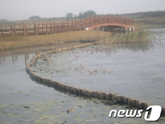 목포시 옥암지구 수변공원 친환경생태공원 조성