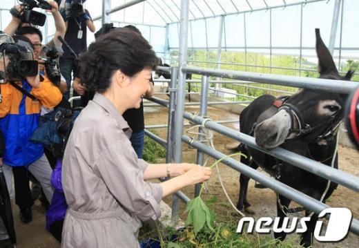 만든곳: 한국 네티즌본부 카페