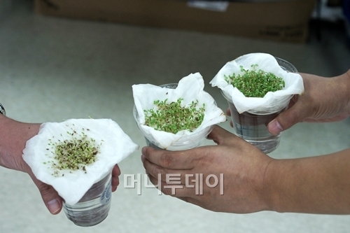 고성능 LED조명으로 고부가가치 작물 키워요