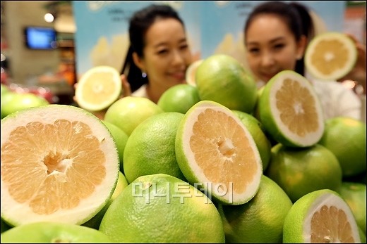 [사진]신세계, 비타민C 풍부한 스위티 자몽 첫선