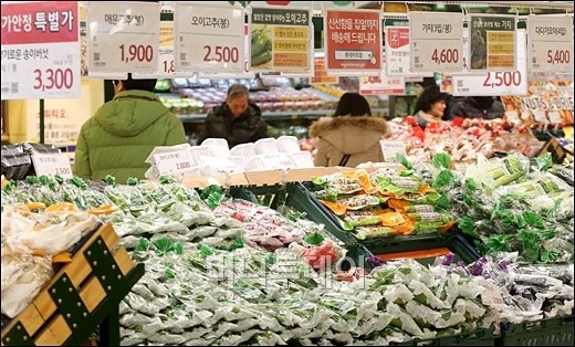 [사진]계속되는 한파...채소값 폭등