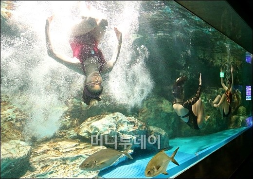 [사진]수중뮤지컬 인어공주 이야기 공연