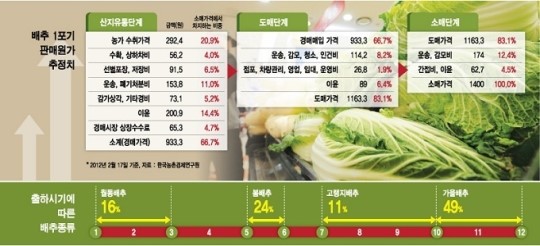 가격 시소 배추, 유통마진 도대체 얼마?