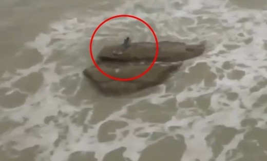 인어? 듀공?…이스라엘 해변에 괴생명체 포착
