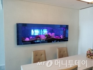 피시세이, 액자 속 바다 벽걸이수족관 눈길