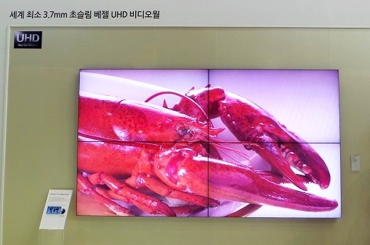 본문이미지