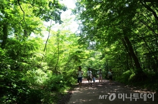 뚜벅이를 위한 제주 시티투어버스 100% 활용법