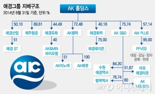 컨트롤타워 AK홀딩스, 일가 지분율 50%