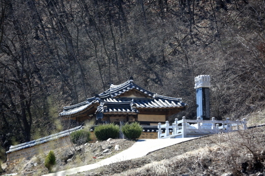 시간이 머물다 나가는 곳…청송(靑松) 덕천마을
