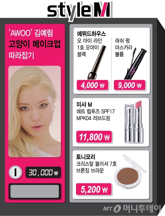 3만원으로 따라해봐…아우 김예림 고양이 메이크업