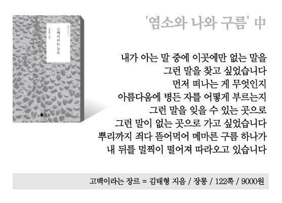 [시인의 집]리스본행 야간열차타고 떠나듯 길을 나선다면