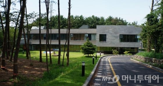 1200평대 숲속 어린이집…직원도 가족도 날마다 소풍