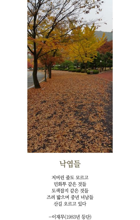 [최광임 시인이 읽어주는 디카시]- 11월이다