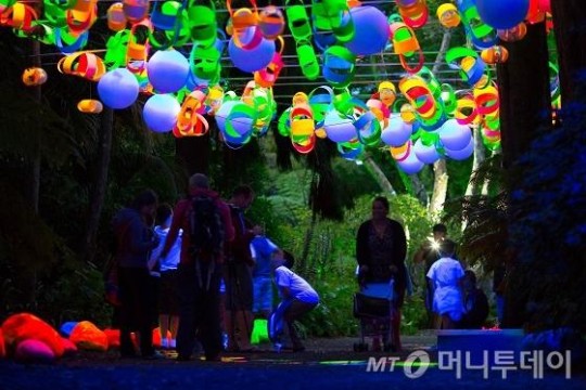 본문이미지