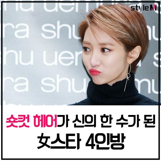 [카드뉴스] 숏컷 헤어가 신의 한 수된 女스타 4인방