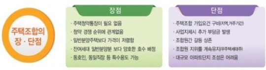 본문이미지