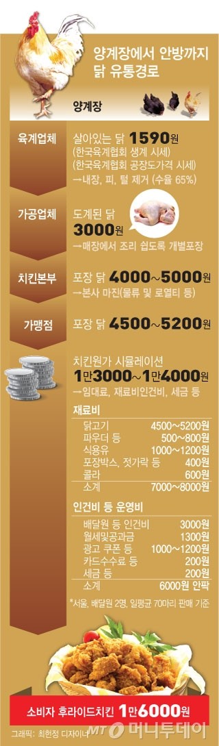 본문이미지