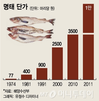한국명태의 귀환...2018년 국내 양식명태 밥상에