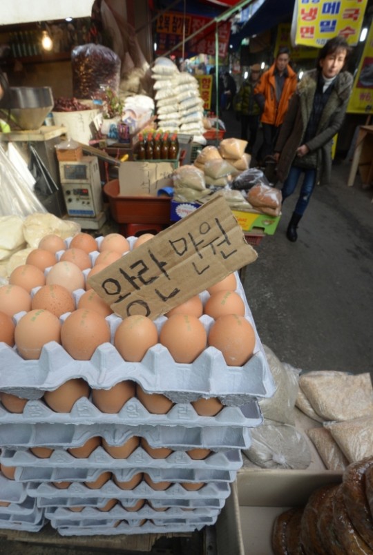 본문이미지