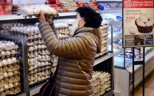 본문이미지