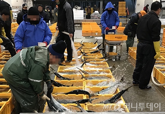 활어가 펄떡 삶도 팔딱…새벽 수산시장 가보니