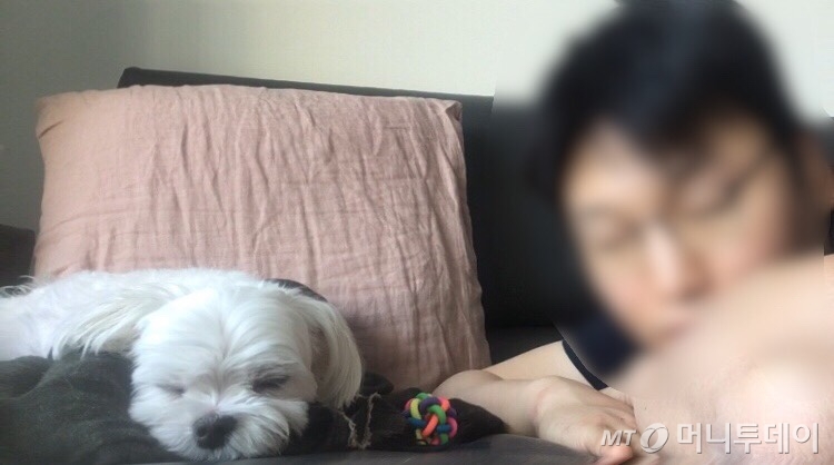 4살 똘이와 하루를 보냈다[남기자의 체헐리즘]