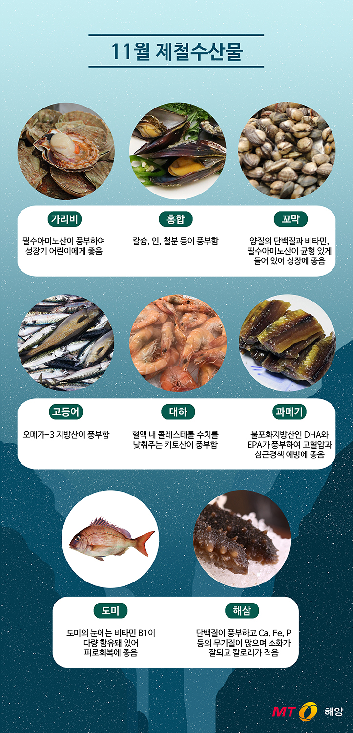 [바다정보다잇다] 11월 제철수산물의 효능은?