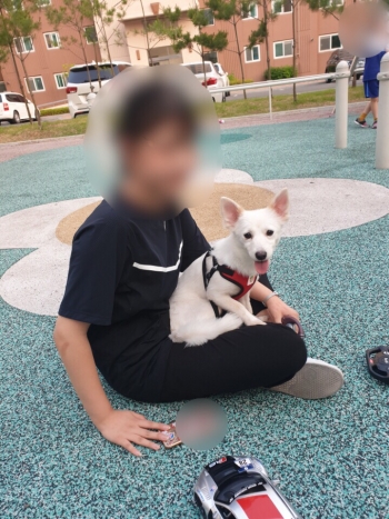 크리스마스에 죽을뻔했다, 이 예쁜 강아지가[체헐리즘 뒷이야기]