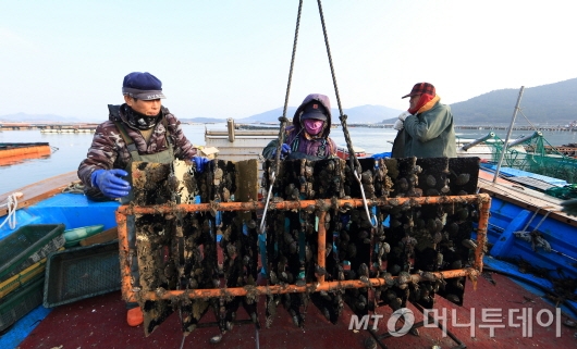 완도군 ‘어업인 걱정 덜어드립니다!’