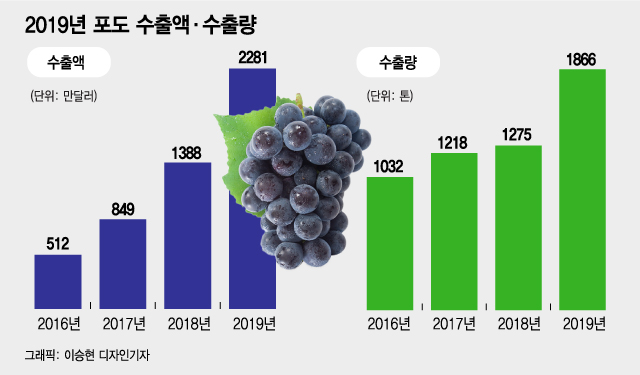 천덕꾸러기 K-농산물의 반란…수출효자 일등공신은?