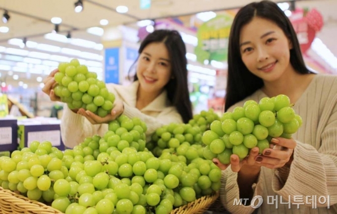 주중대사관, 프리미엄 K-푸드 中에 알린다