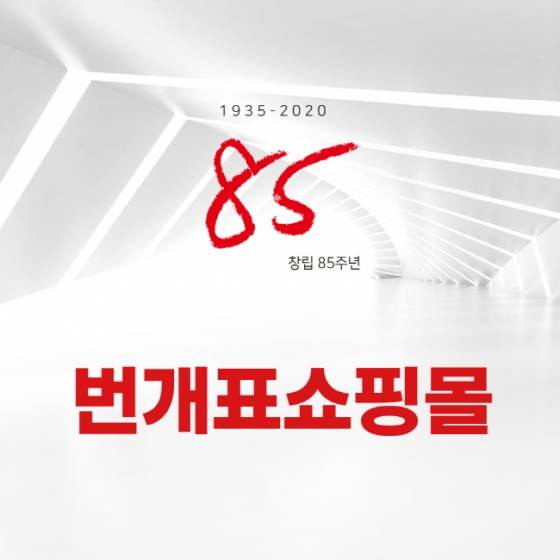 번개표 쇼핑몰 금호전기, 종합 조명 쇼핑몰로 탈바꿈