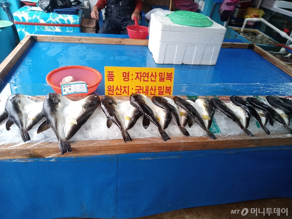동해안 최대 규모 어시장, 주문진수산시장