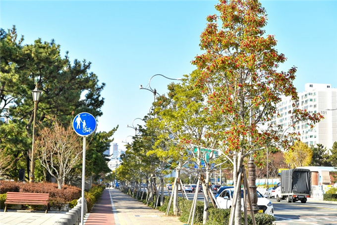 부산 해운대 가로수길 ‘활기찬 도심 보행길’