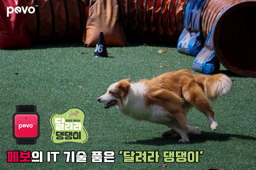 반려견 전용 헬스케어 페보, 국내 최정상급 어질리티 대회 후원