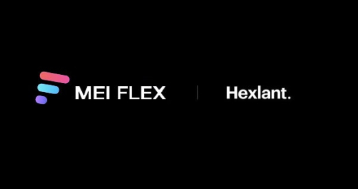 메이플렉스(MF), 블록체인 보안감사업체 헥슬란트 보안검증 통과
