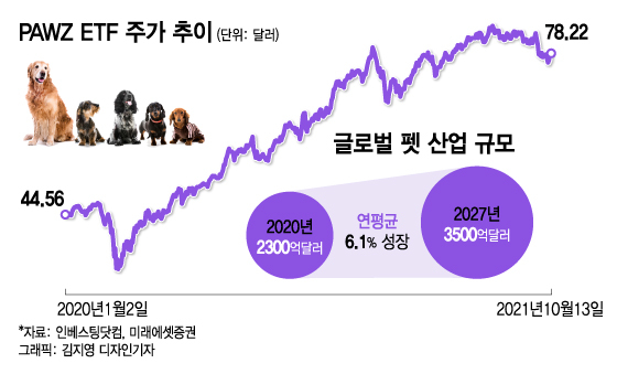 불확실한 증시서 좋은 투자 대안…몸집 키우는 이 산업 주목