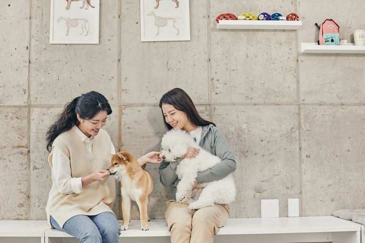 [법률판] 장판 누수 알렸더니 그냥 살라는 집주인, 계약 해지하려면