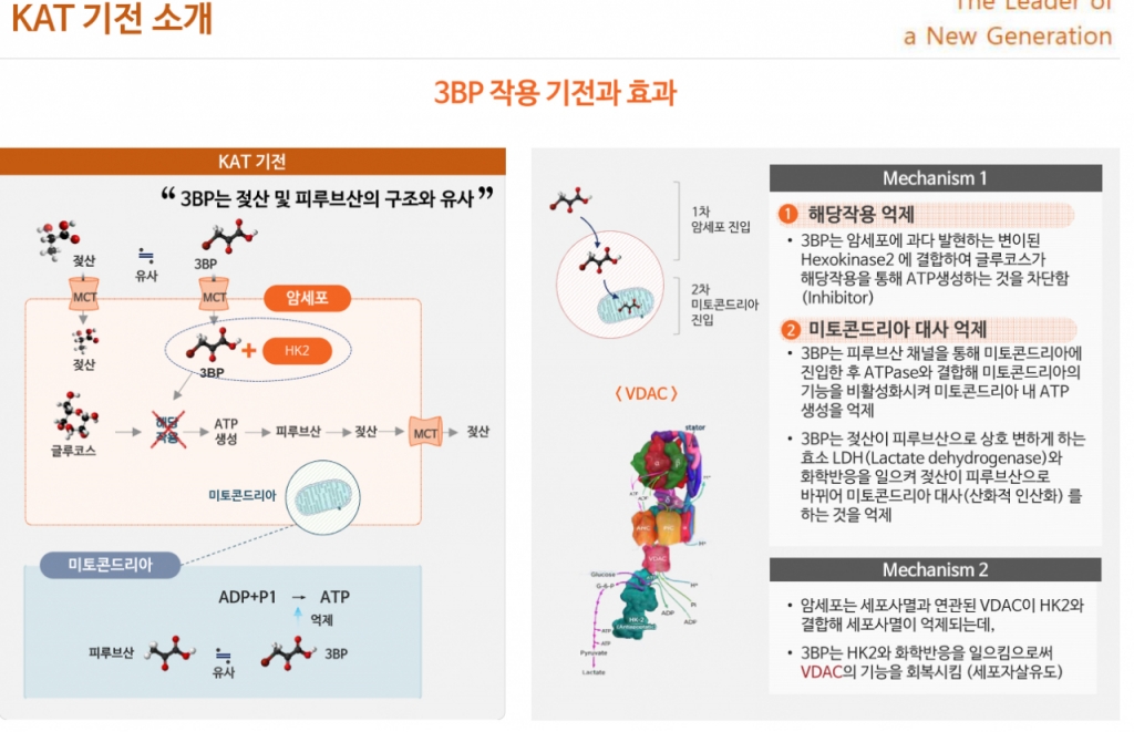 뉴지랩파마, 코로나부터 세계 최초 대사항암제까지 저평가 부각