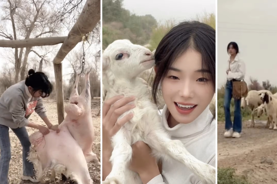 [영상]21살 위구르 양치기 여성의 반전 매력…사막의 도살자