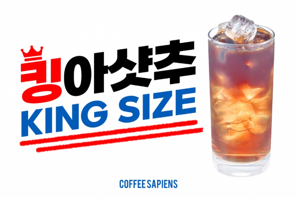 커피사피엔스, 킹샷추 및 하프쿠키 출시