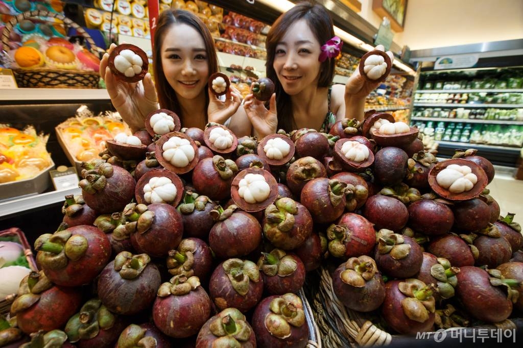 동남아는 과일 싸다며 깜짝…세계 곳곳서 과일 인플레 시름