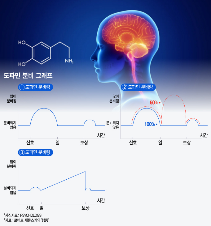 치킨, 배달이 시작됐을 때 vs 먹을 때…도파민의 비밀 [딥THINKING]