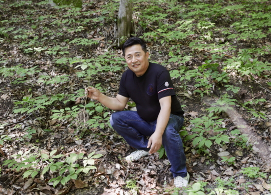 국내 유일 특별관리임산물 산양삼 해외 진출 넓힌다